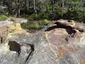 2017-06-01 10-00-33 Rando Fontainebleau CGn